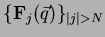 $ \{\mathbf{F}_j(\vec{q})\}_{\vert j\vert>N}$
